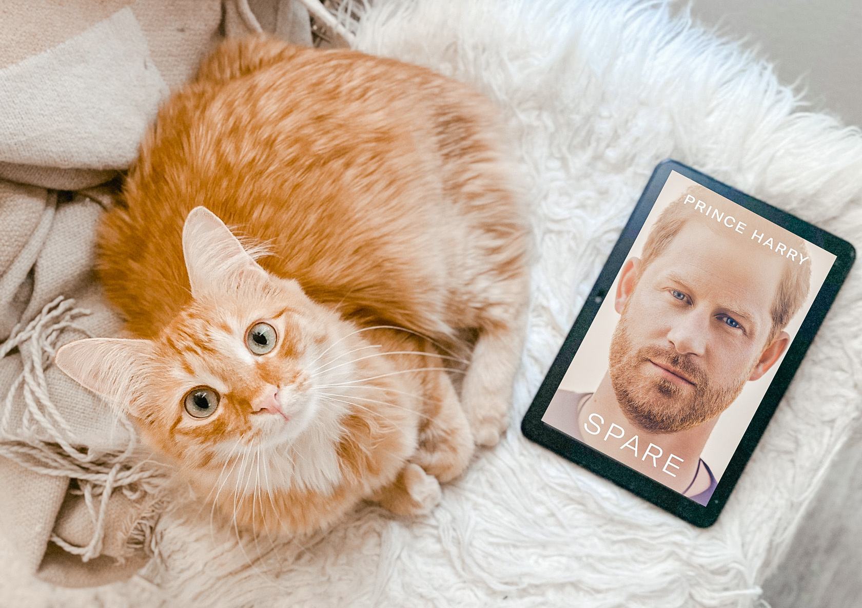 Blog Spare Spare by Prince Harry (Review) – BookNerdalie
